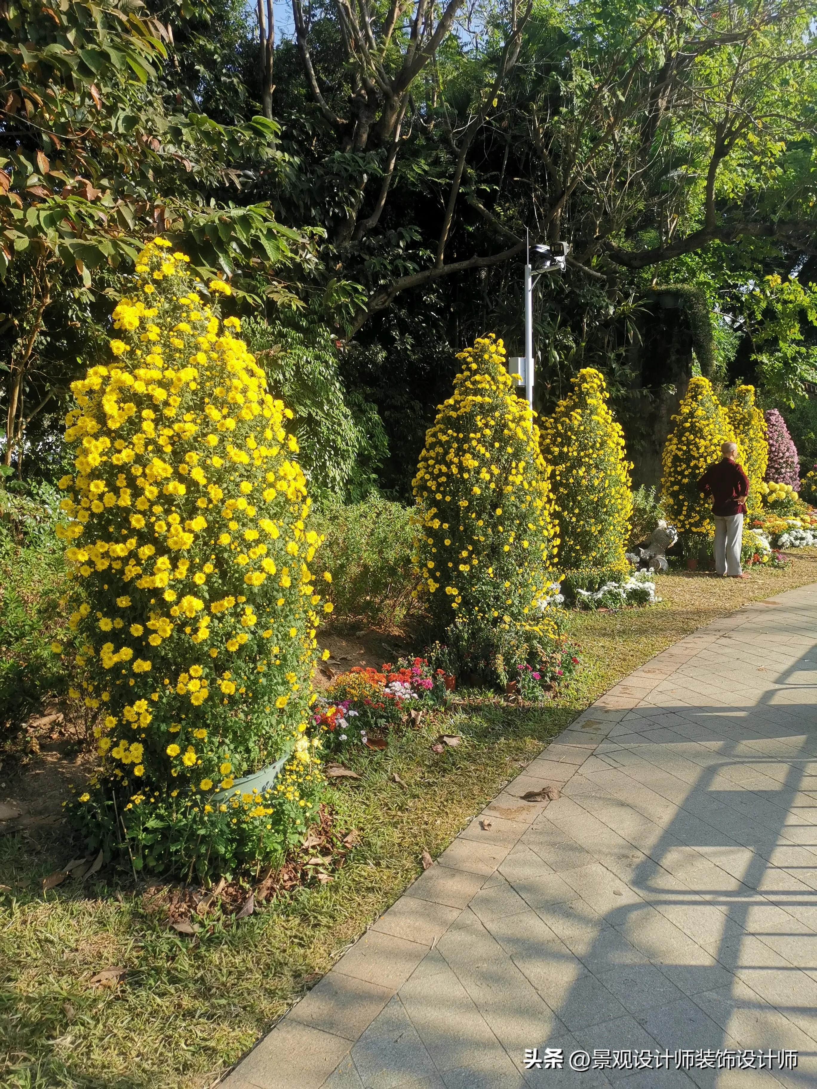 深圳市东湖公园收费标准,深圳市东湖公园宾馆