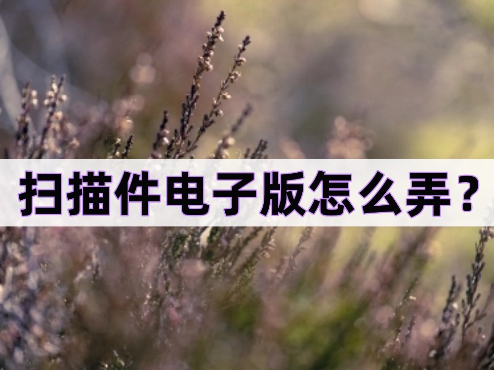 扫描文件怎么弄成电子版教程,扫描王扫描成pdf电子版怎么弄