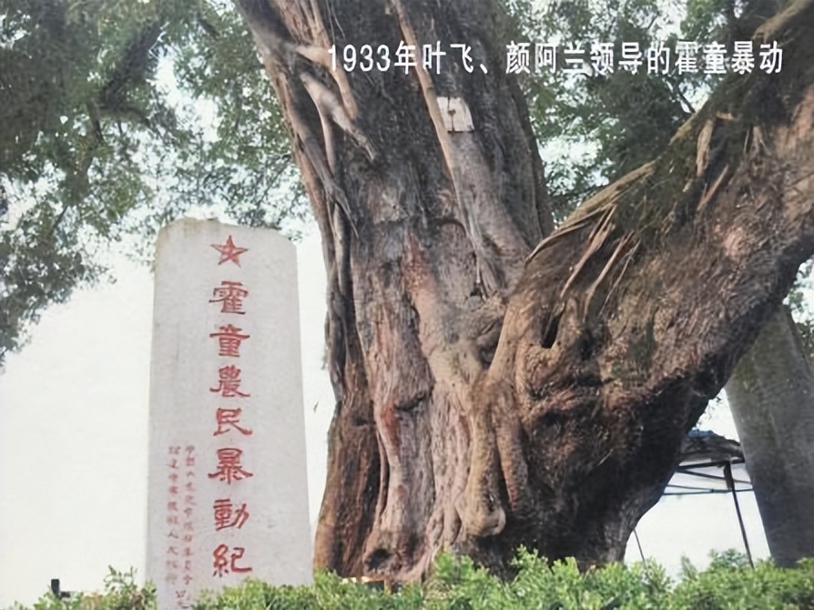 铁 路 情 缘 作者：铁二代 卢州