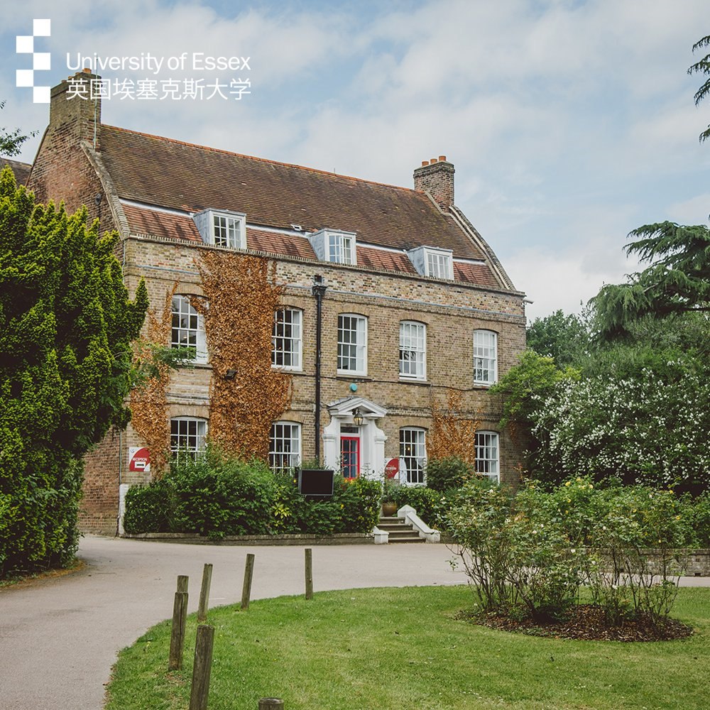 埃塞克斯大学英国,埃塞克斯大学研究型