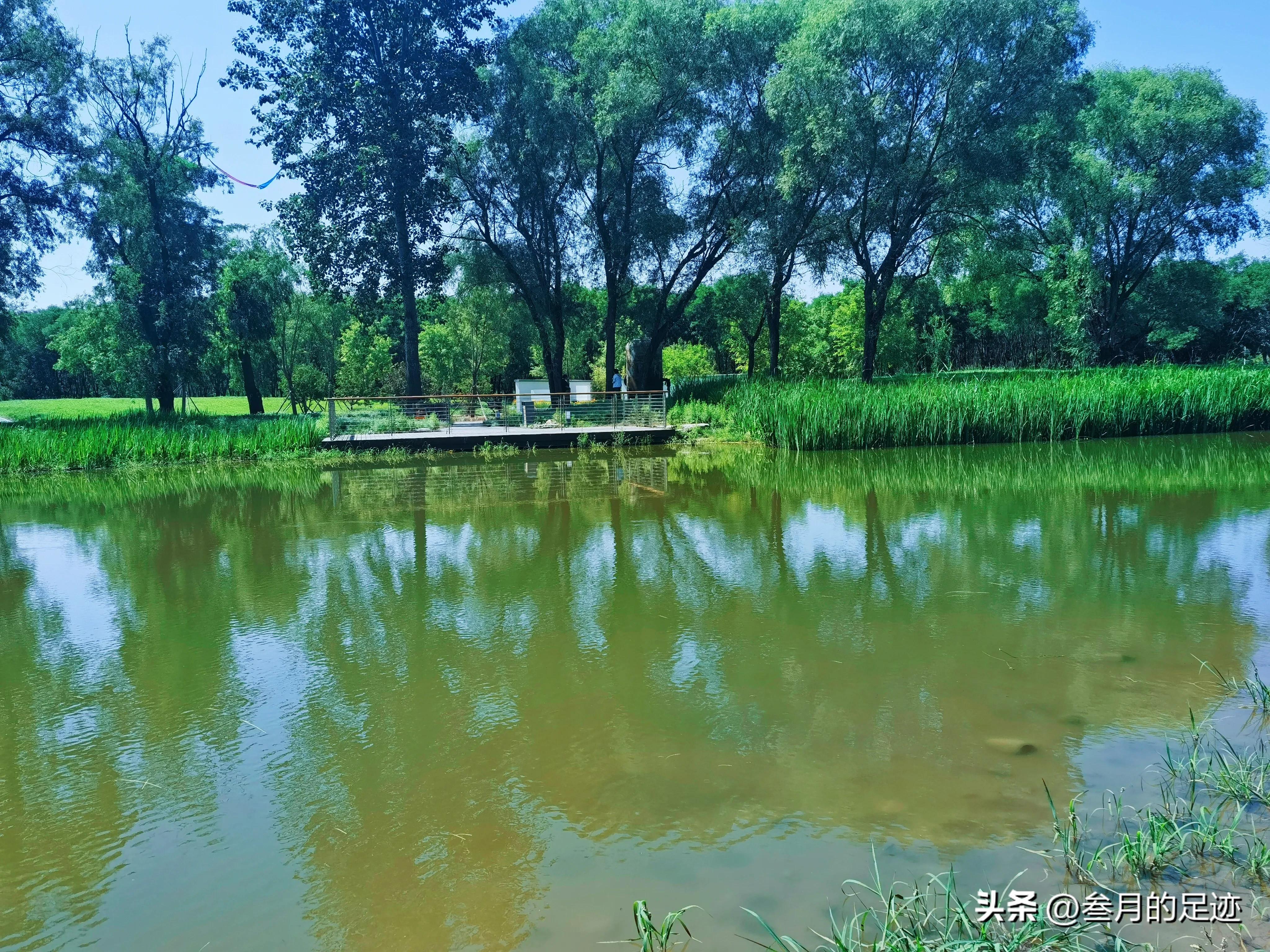 北京有铁道的公园,北京有哪些免费网红公园