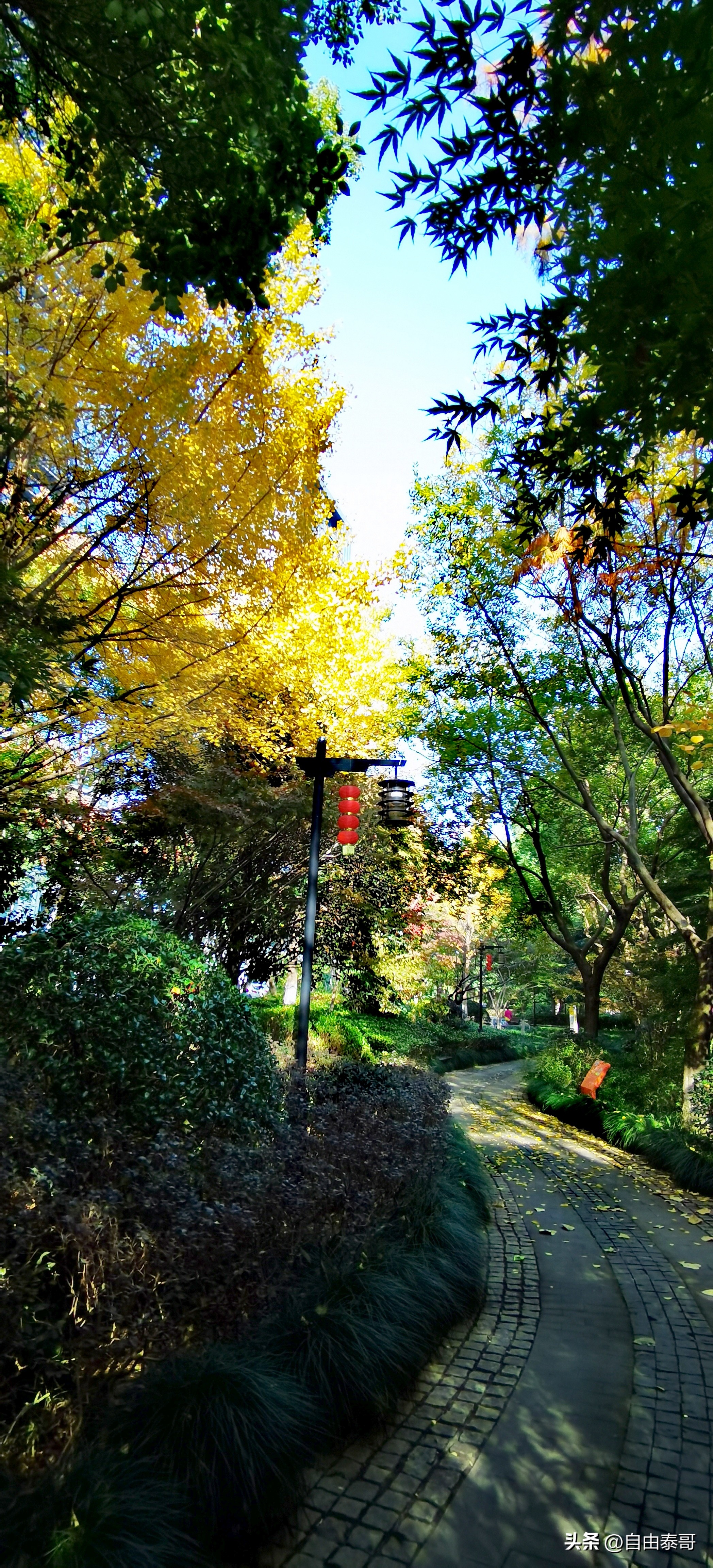 临平最大的亲水公园,临平最好公园排名