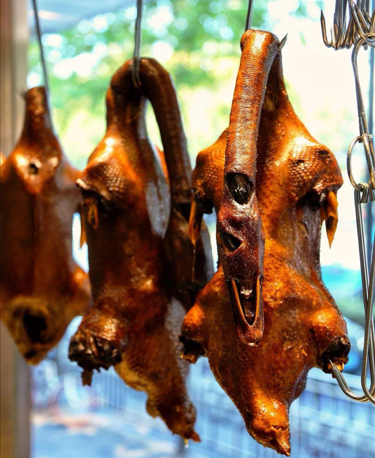 湖南邵阳美食湘菜,邵阳的特色菜是什么