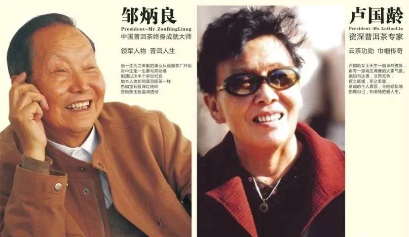 正宗的云南普洱茶是什么样的,真正的云南普洱茶是什么样