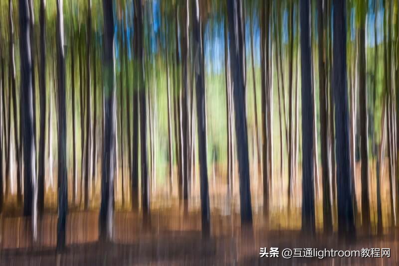 拍出清晰的风景照方法和技巧,风景照拍照技巧纯风景构图