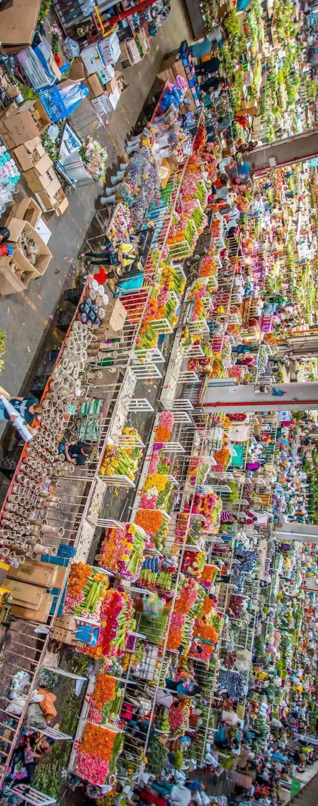 呈贡旅游攻略,2018中国旅游日昆明