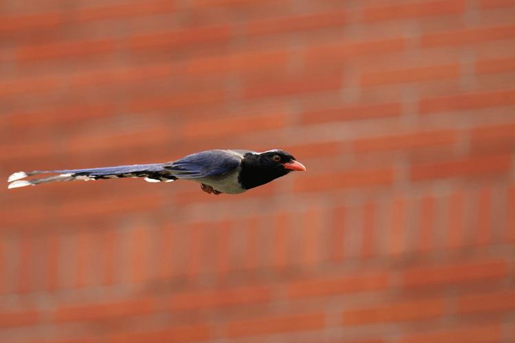 赏城中美景，品厦门味道。城市中心C位酒店，毗邻植物园、中山路