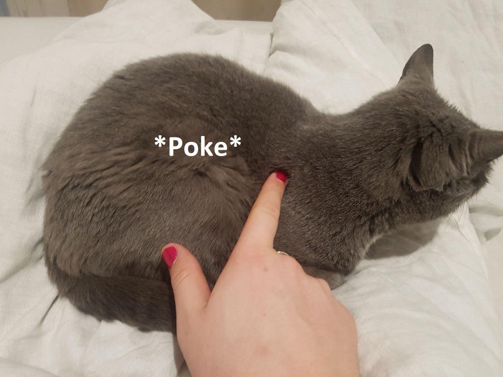 如何证明图灵完备,图灵完备条件判断