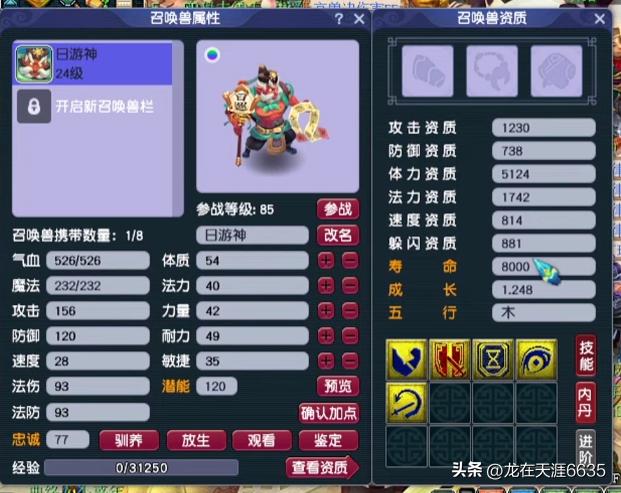 梦幻西游谛听宝宝,梦幻西游谛听合宠技巧