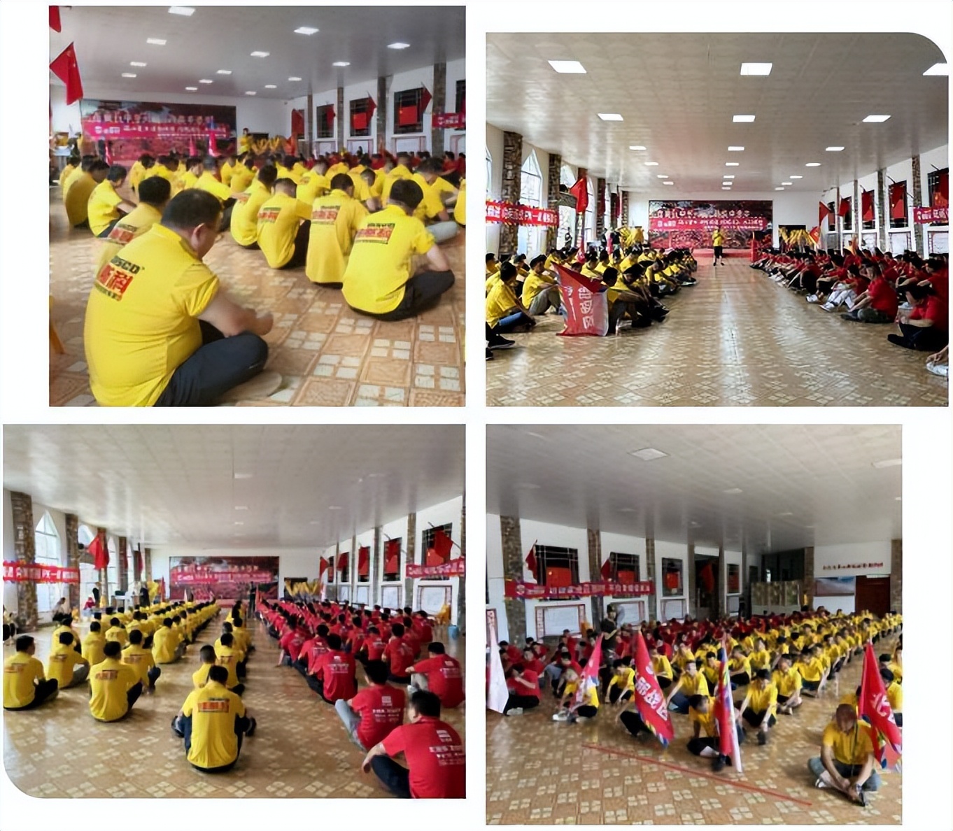 迪斯科集团,迪斯科集团公司