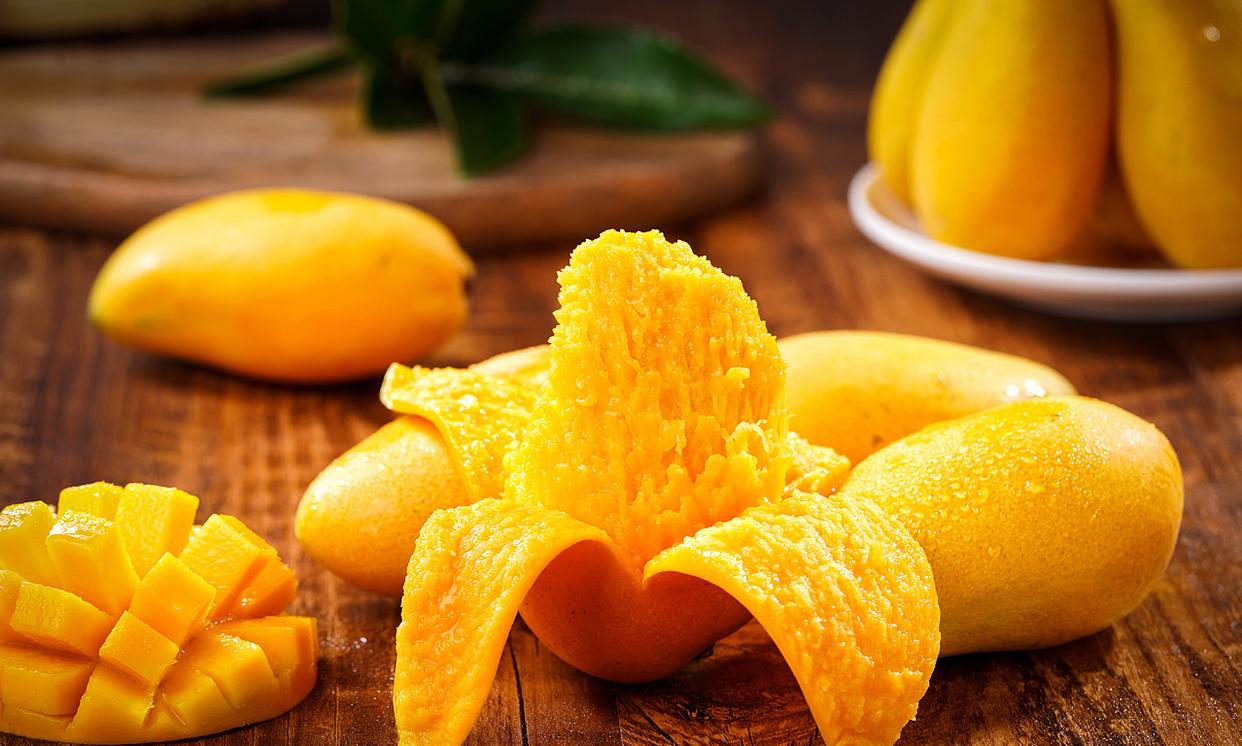 孕期能吃芒果和李子吗,孕期吃芒果能吃杏干吗