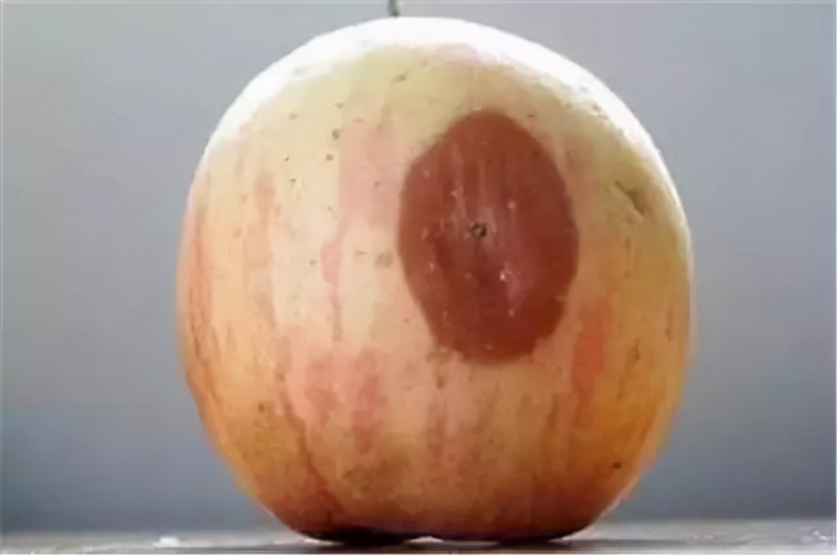 养肝护肝的食物南瓜,常吃南瓜能排肝毒吗