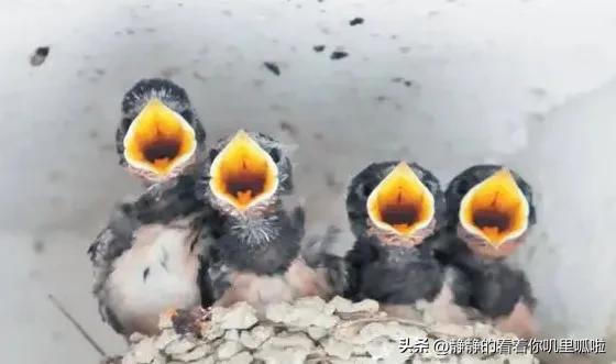 房地产策划底层逻辑,房地产策划最终归宿