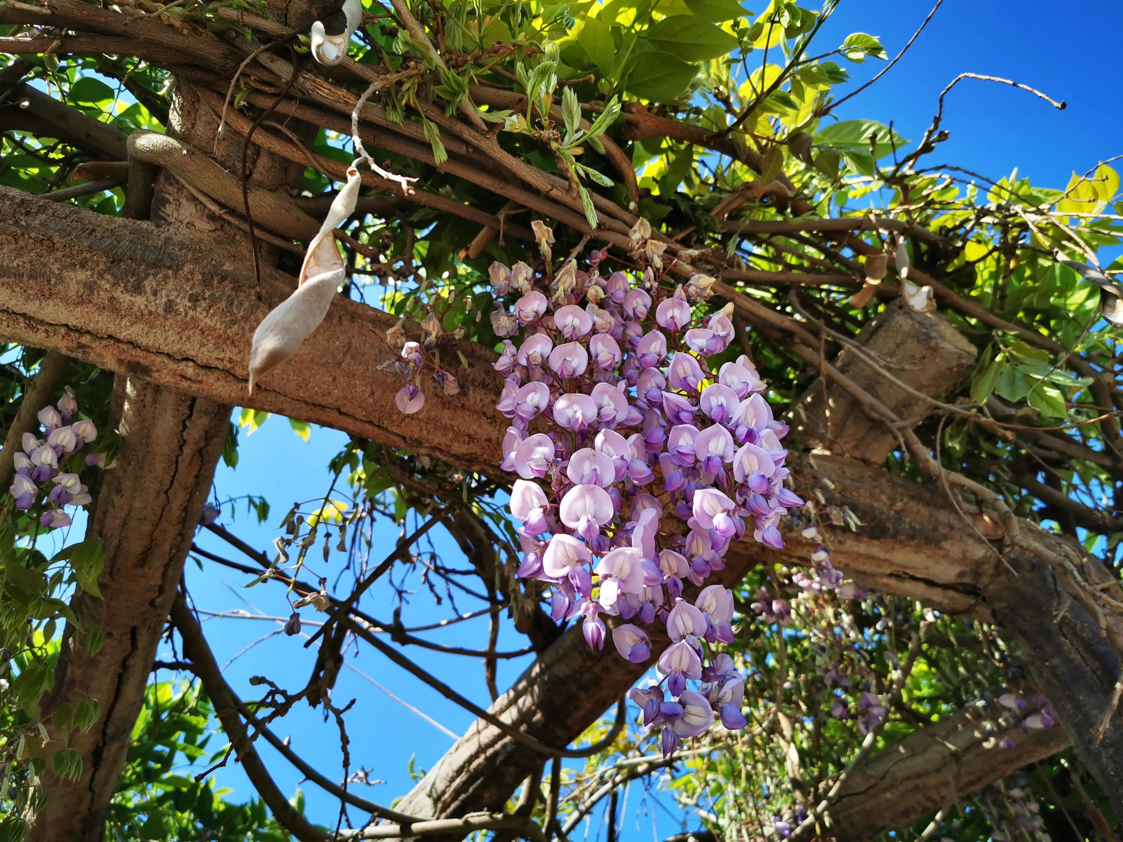 蜗牛徒步999,蜗牛徒步视频