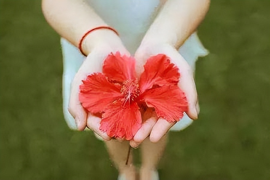 女人倒开花是什么病,60岁女性倒春花是咋回事