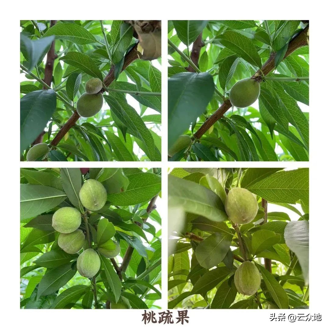 <html>
<head><title>502BadGateway</title></head>
<body>
<center><h1>502BadGateway</h1></center>
<hr><center>nginx</center>
</body>
</html>
<!--apaddingtodisableMSIEandChromefriendlyerrorpage-->
<!--apaddingtodisableMSIEandChromefriendlyerrorpage-->
<!--apaddingtodisableMSIEandChromefriendlyerrorpage-->
<!--apaddingtodisableMSIEandChromefriendlyerrorpage-->
<!--apaddingtodisableMSIEandChromefriendlyerrorpage-->
<!--apaddingtodisableMSIEandChromefriendlyerrorpage-->
