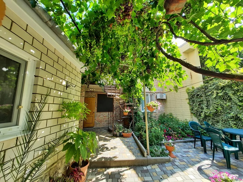 最舒服简单的农家小院,自建房三开间农家小院布局