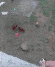 搞笑gif谁这么有才把车开上房顶了,搞笑gif段子这车开出去也太拉风了