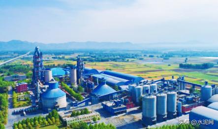 哪种海螺最好图解,什么品种的海螺最好