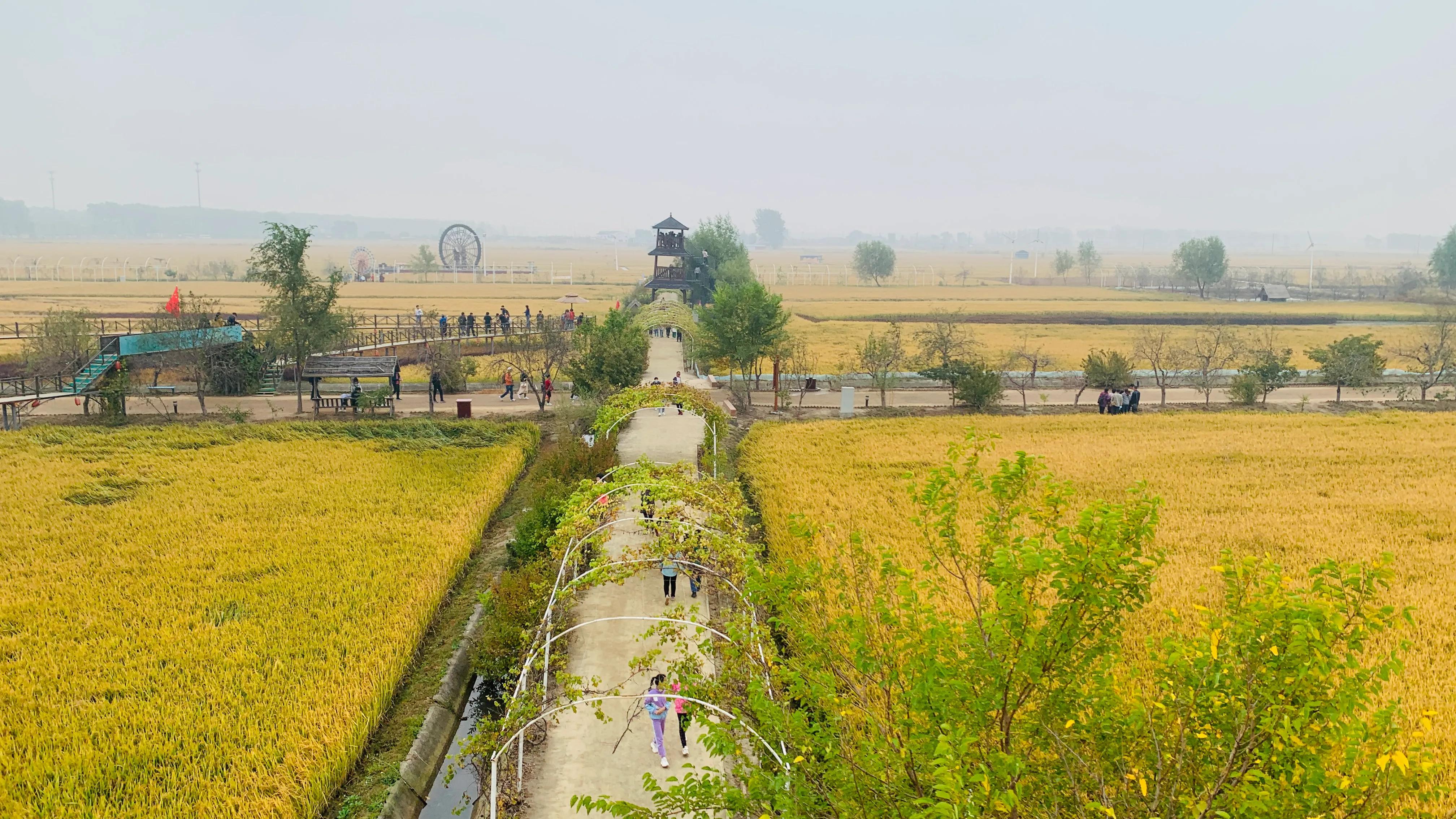 沈阳旅游景点稻梦空间,沈阳稻梦空间一日游攻略