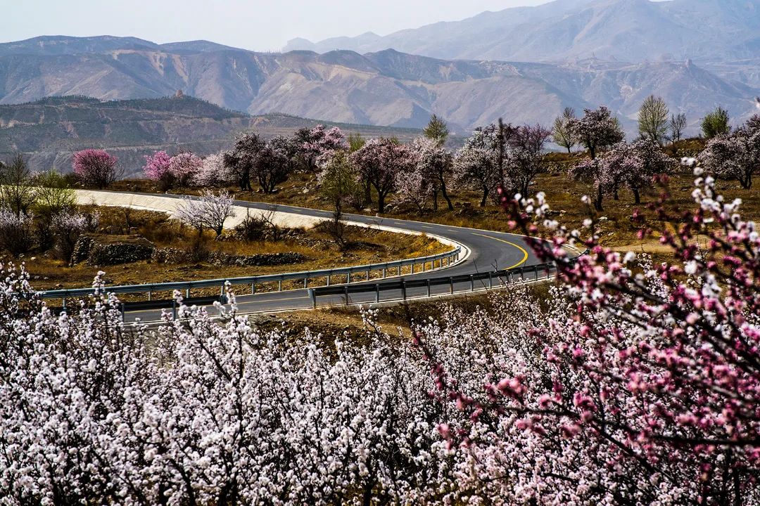 迎接党的20大美术作品,喜迎二十大乡村摄影展