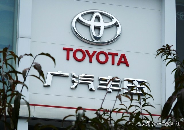 中国姥姥去公园溜达,中国姥姥在澳洲