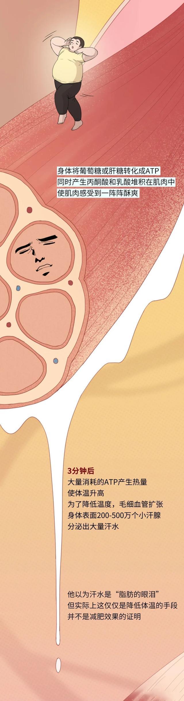 为什么跳跳绳会有大便的感觉,为什么跳完毽子操腿软