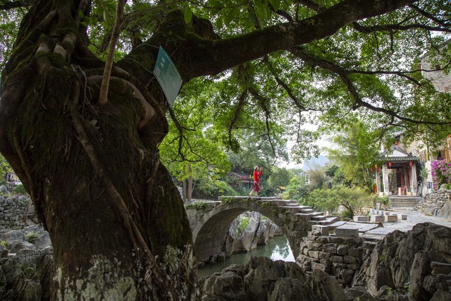 广西壮族自治区面积,广西壮族自治区的地级市有几个