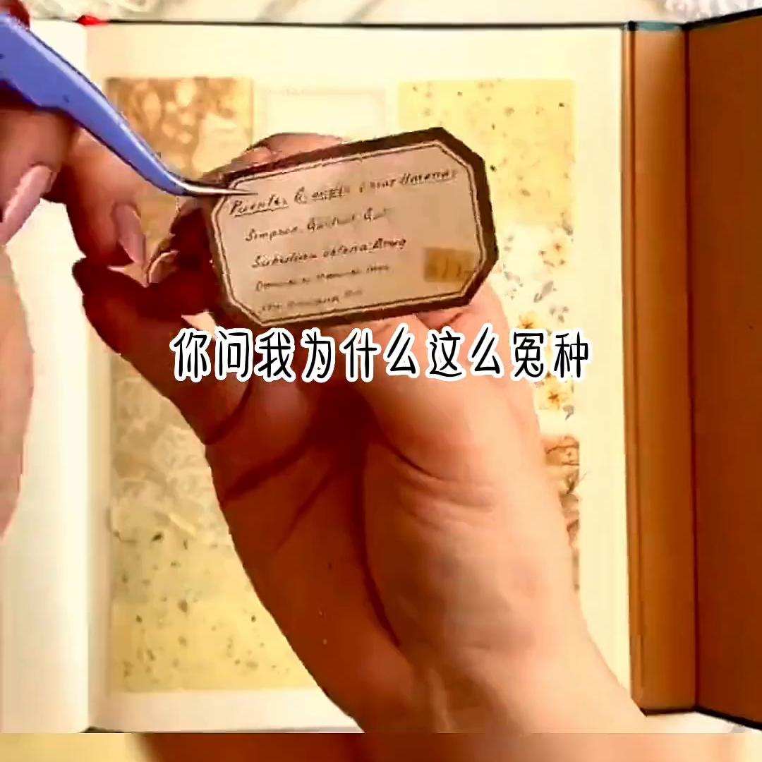 姣忔棩鎺ㄨ崘绮惧僵濂芥枃,濂芥枃绮惧僵鎺ㄨ崘