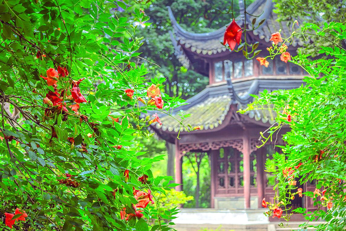 苏州旅游十大赏花景点,苏州赏花最佳景区排名