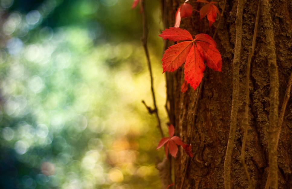 有三种说话方式，暗示着一个人“看不起你”