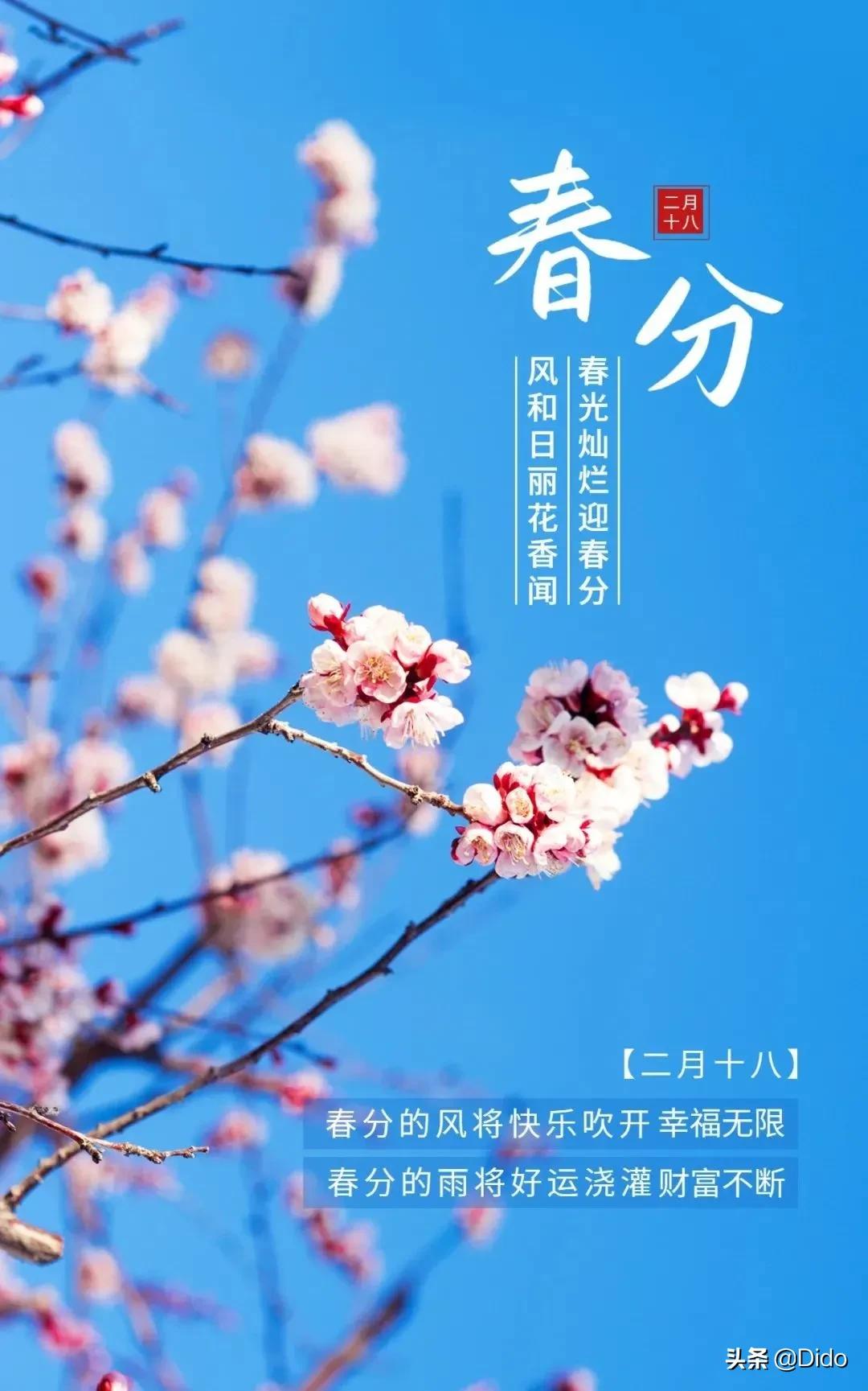 春分春风如约而至吹暖每一个角落,愿春分带来更多的美好如约而至