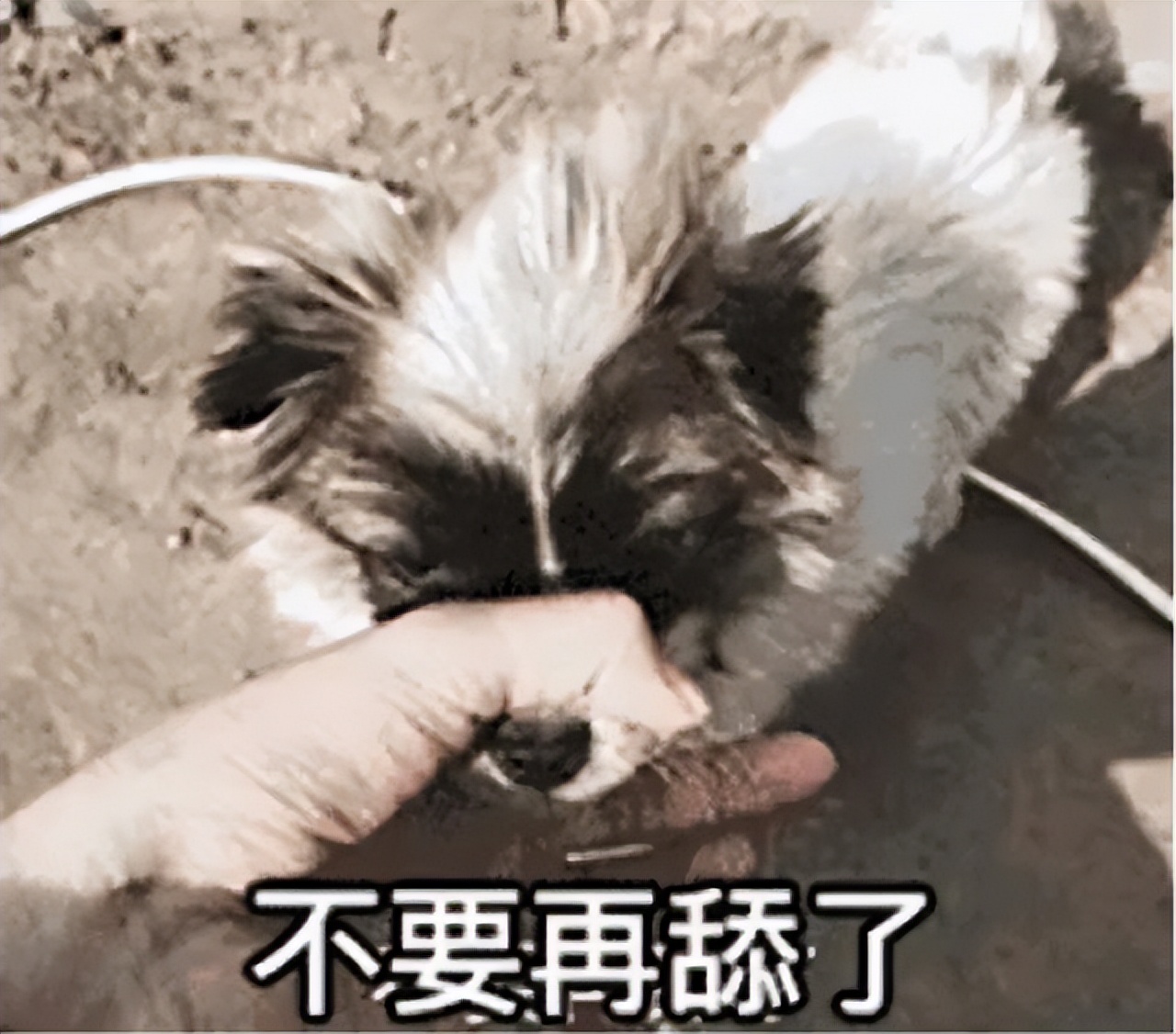 微信更新特别功能,微信出新功能你要不要尝试一下