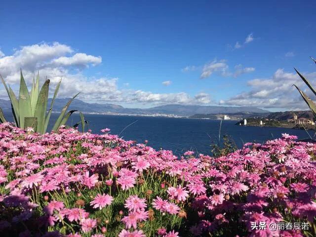 32首面朝大海春暖花开,面朝大海春暖花开诗篇