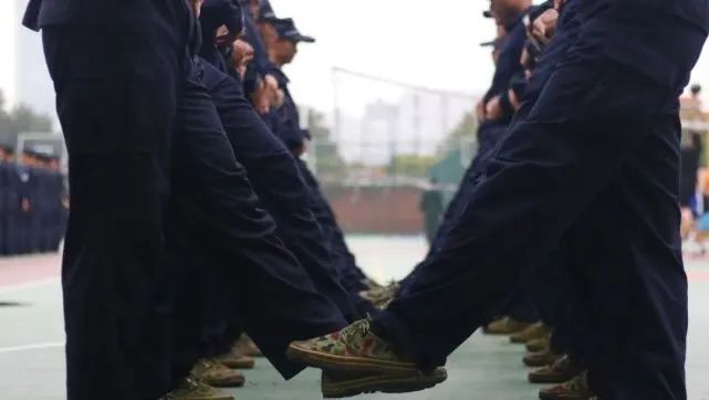 合肥新文道考研半年集训营:6大冷门专业,上岸率高,就业率不差