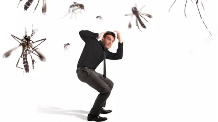 血热更容易招蚊子,吃了哪种水果更容易招蚊子