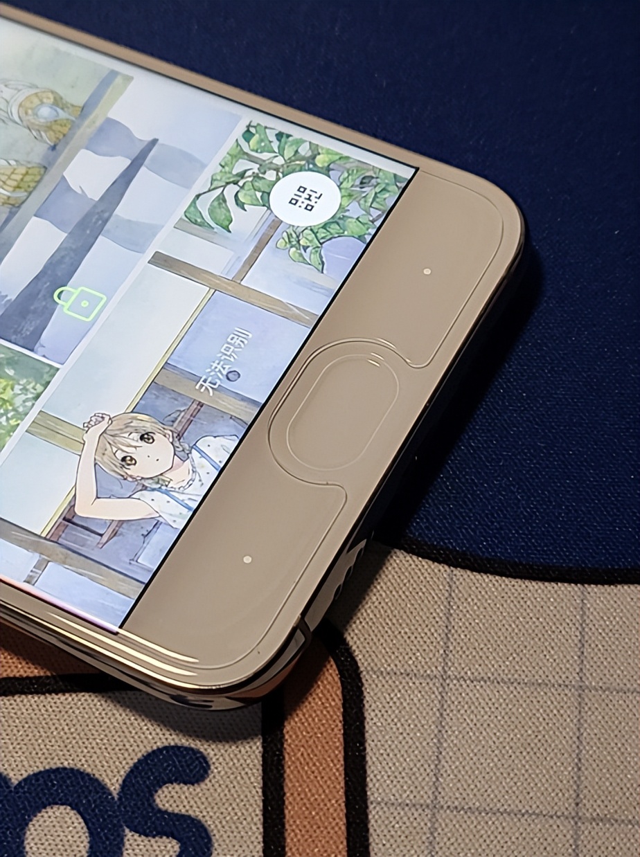 小米钉子户手机有哪几款,小米6一代钉子户神机