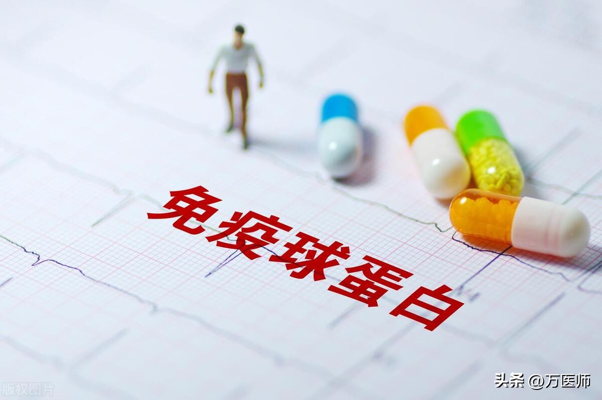 补充免疫球蛋白可以提高免疫力吗,补免疫球蛋白能增强抵抗力吗