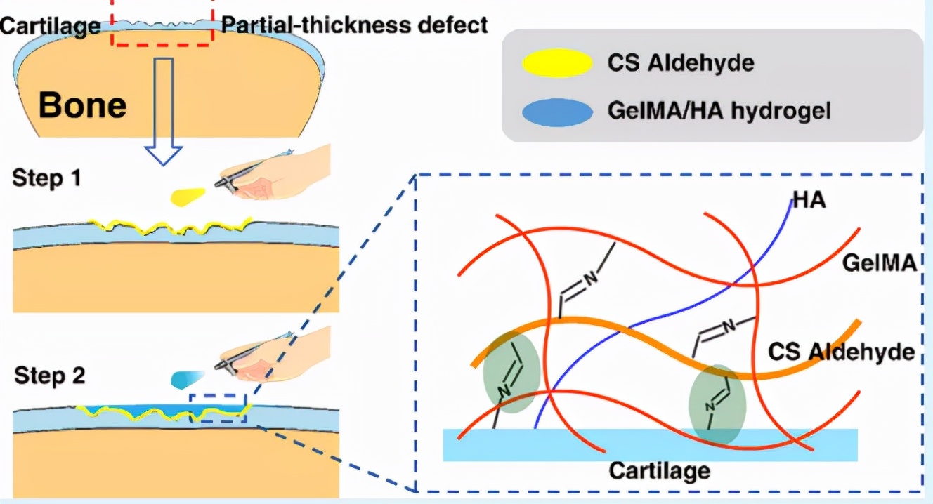 浙大研发新型涂层材料,浙大新型保温涂料
