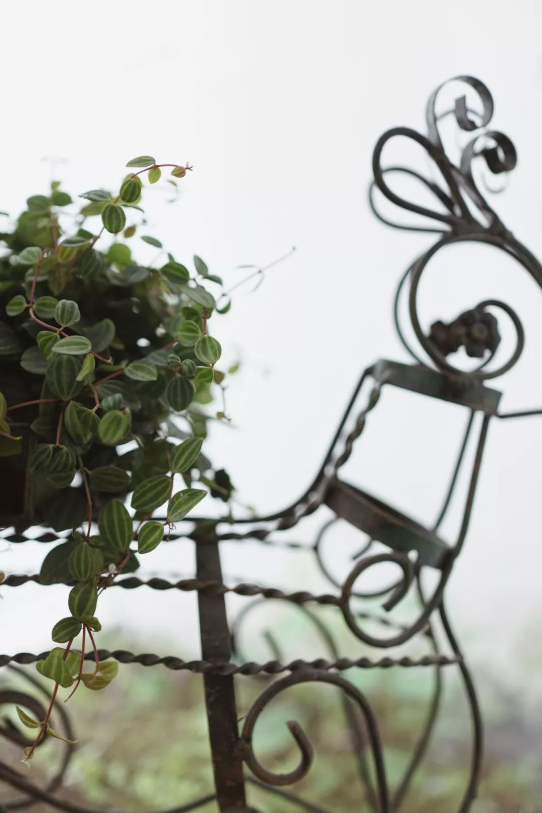 她买下32㎡老旧学区房，为女儿打造小桃园，还有20㎡超舒适大庭院