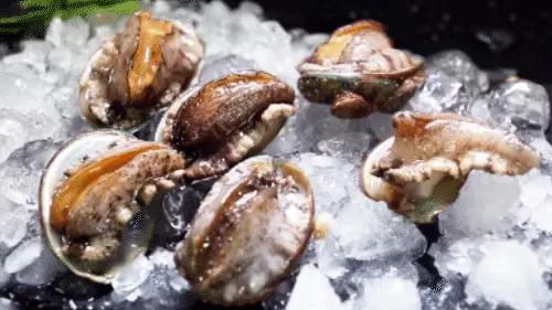 海鲜冰冻保鲜的正确方法,海鲜保鲜温度多少