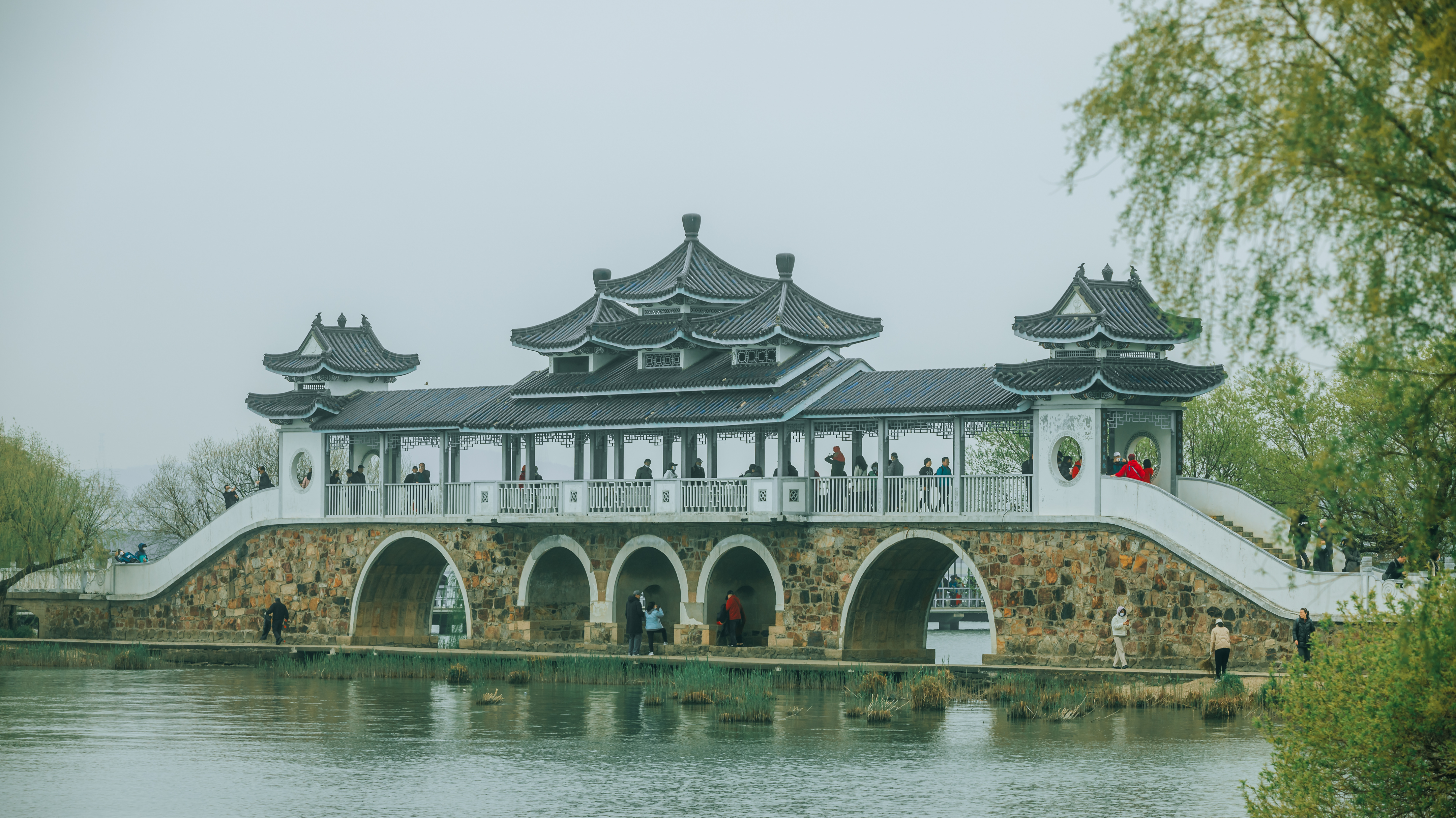 鼋头渚樱花盛宴比日本更令人沉醉,太湖鼋头渚樱花美如画