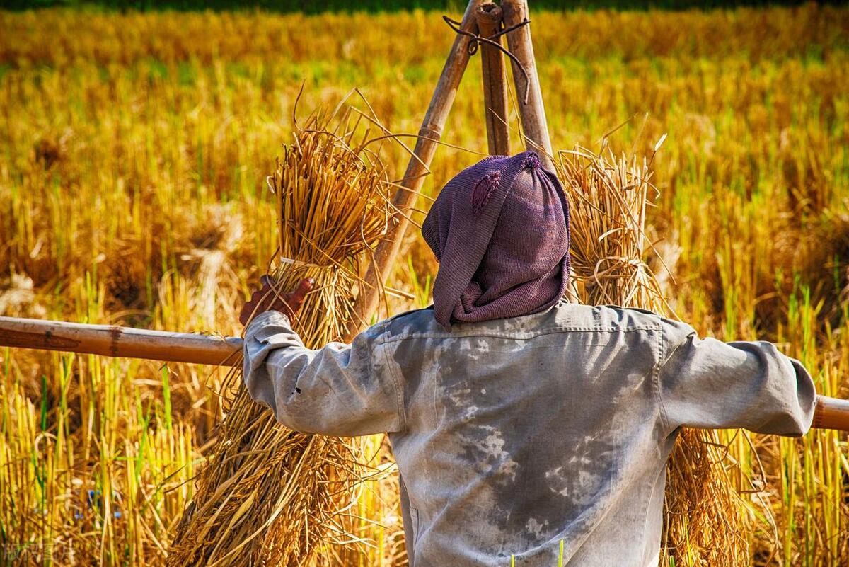 2023养老金调整通知发布了吗,养老金上调最新消息天津市