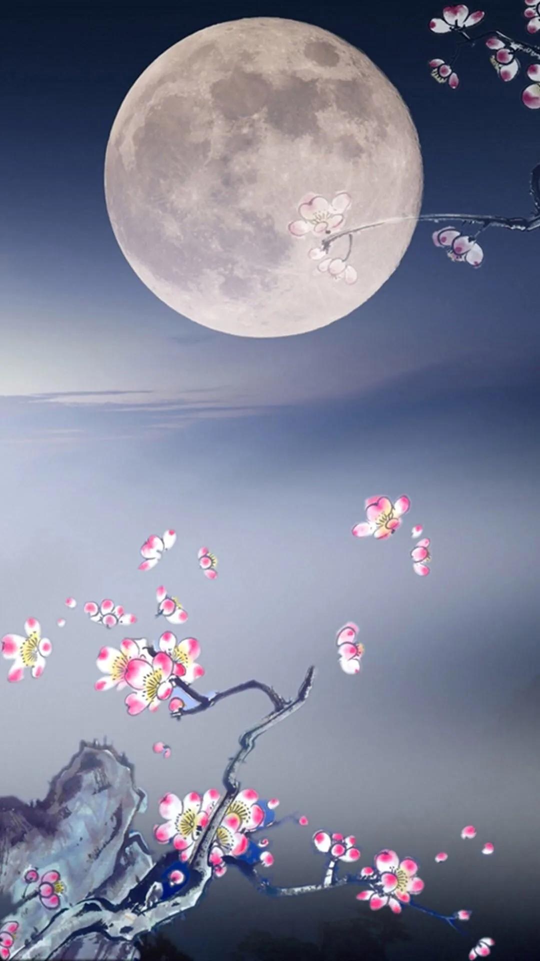 非常有名的有关月亮的诗句大全,5句积累和月亮有关的古诗词