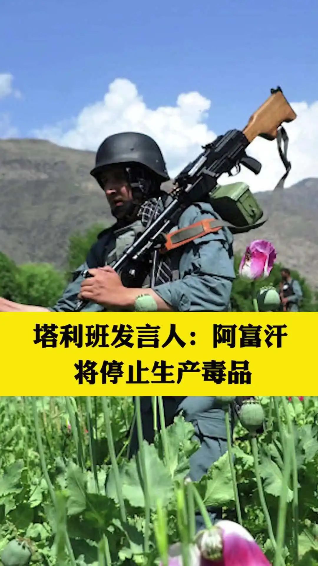 槟榔成瘾的国家,沉迷槟榔应该怎么戒呢