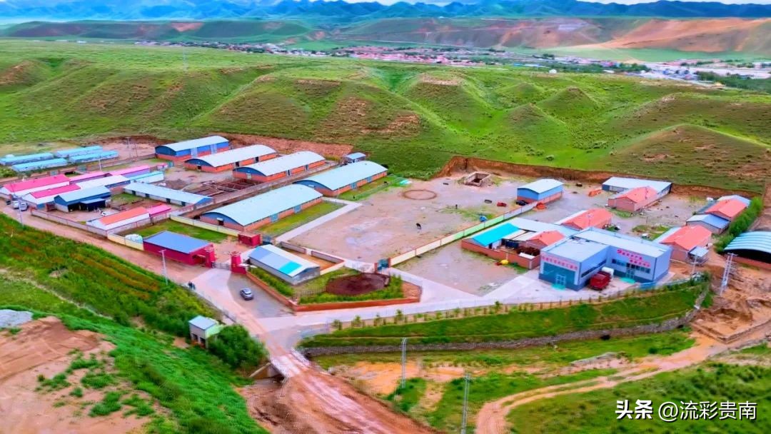 畜牧养殖助推乡村振兴工作,乡村振兴畜牧业