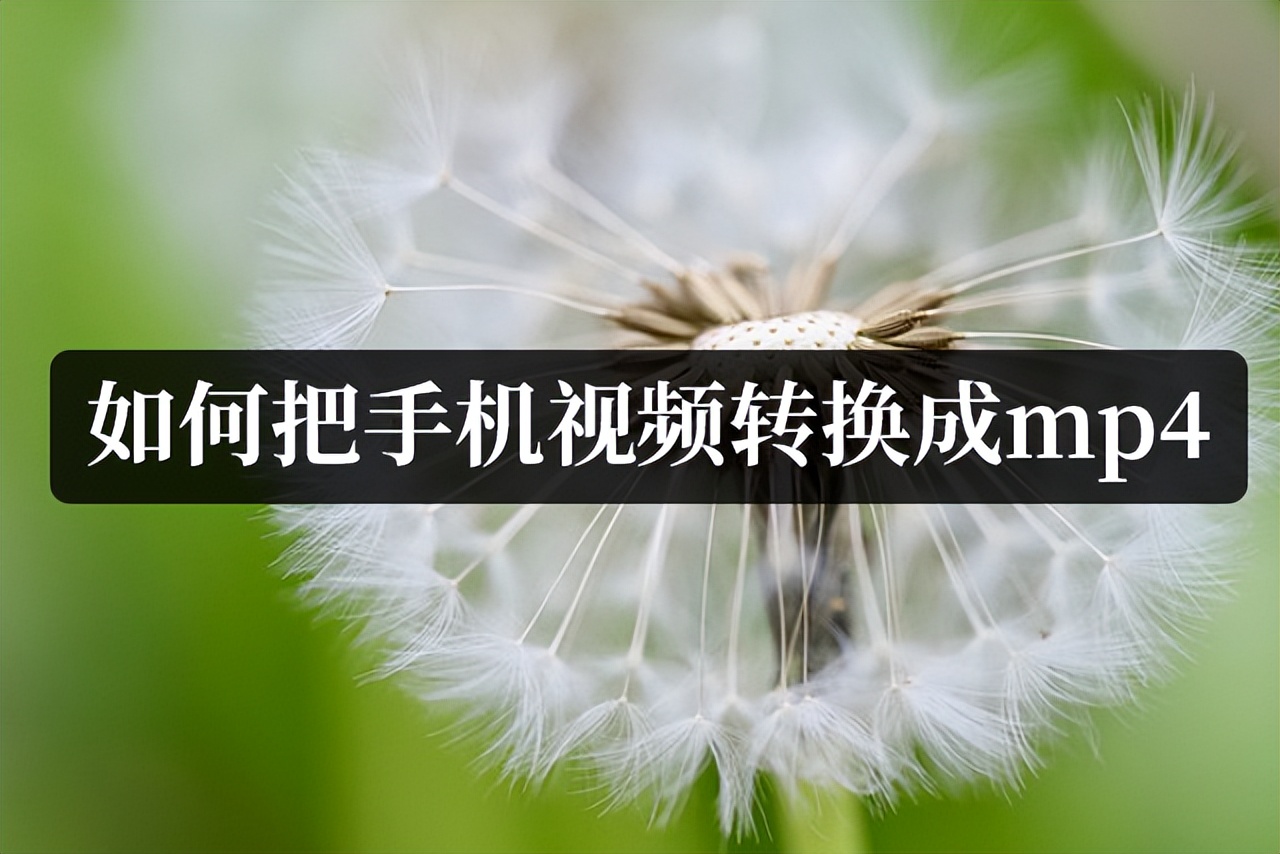 苹果手机拍摄视频格式怎么改成mp4,手机视频格式怎么转换成mp4