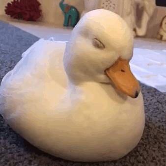 高速路上连个路灯都没有,高速路上为什么没路灯