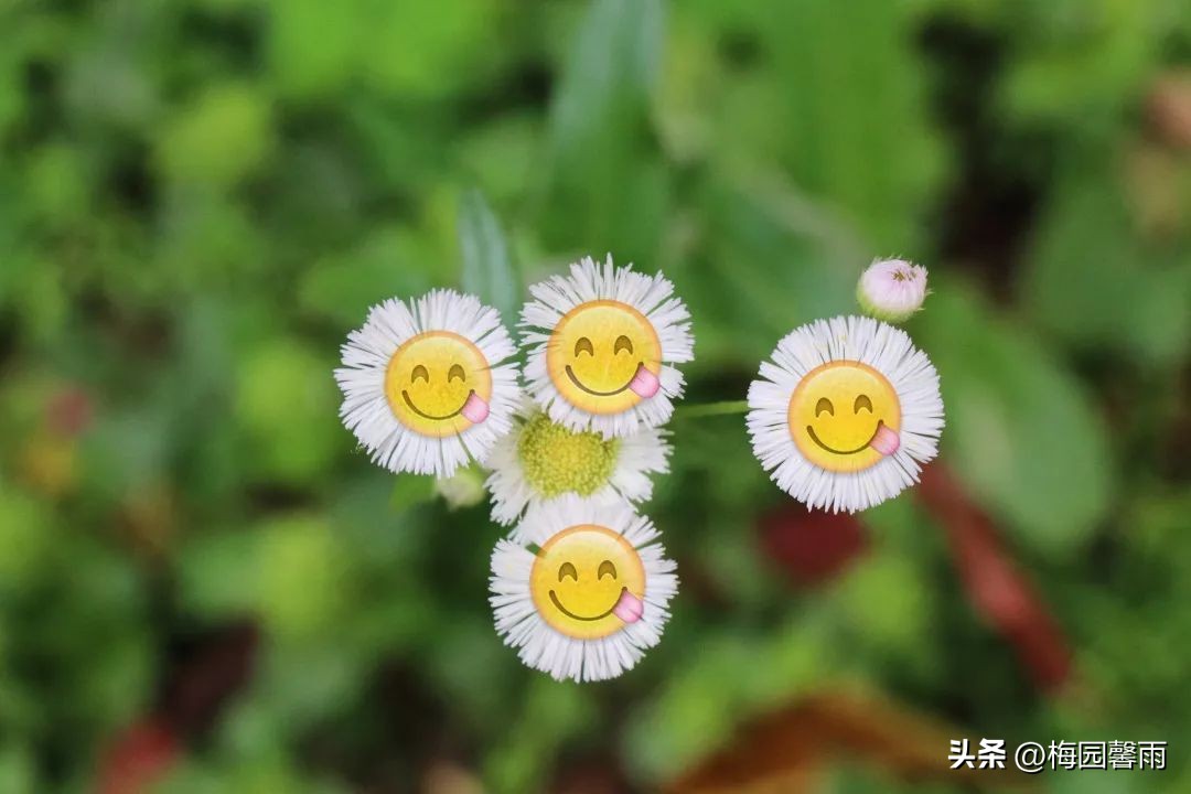 心情好运势好,心情好财气旺