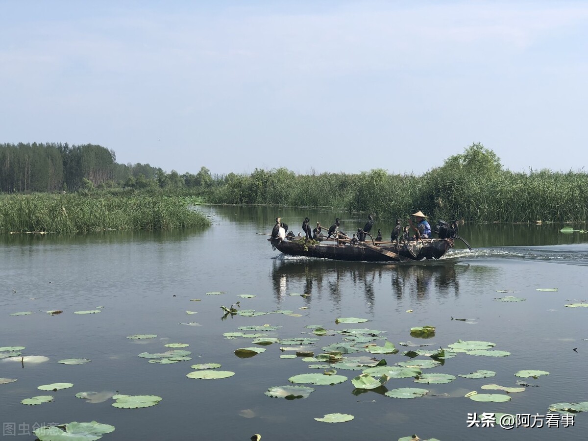 山东旅游推荐微山湖旅游区,微山湖5a景区